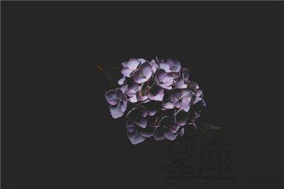 这样八字的男人对于感情是至死不渝的