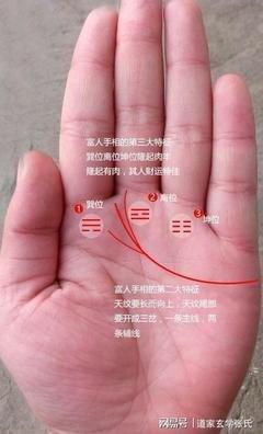 这样的手相特征易成为有钱人注定好生活