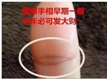 这样的手相都是事业突飞猛进易成名