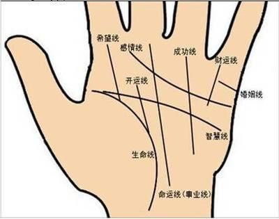 这3种手相的男人最有钱 有钱男人的手相长这样