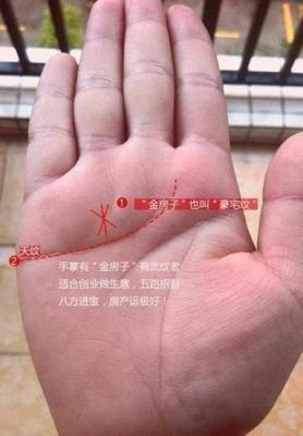 这4种手相的人适合自己创业当老板天生老板命
