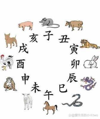 进入2025年后桃花运明显上升的生肖有哪些