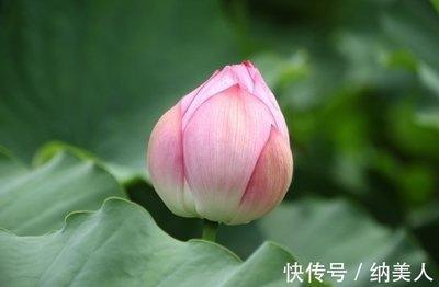 这三大生肖外出工作大赚特赚 收入稳定 有贵人关照