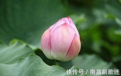 这三大生肖外出工作大赚特赚 收入稳定 有贵人关照 这三大生肖外出工作大赚特赚 收入稳定 有贵人关照