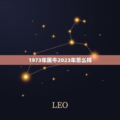 进入不惑之年的人在2025年中会遇到怎样的运势