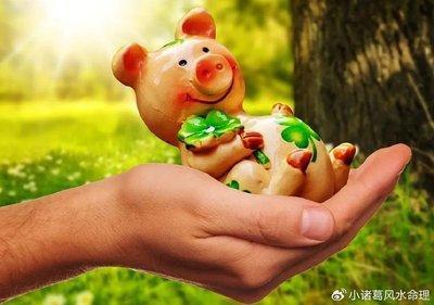 这三大生肖蛇年运势旺 与太岁相合 有禄有福又有钱