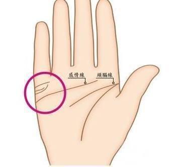 这三种手相的人百分之九十不容易结婚不婚主义者