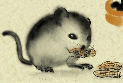 这个生肖的人固执己见难以沟通一根筋