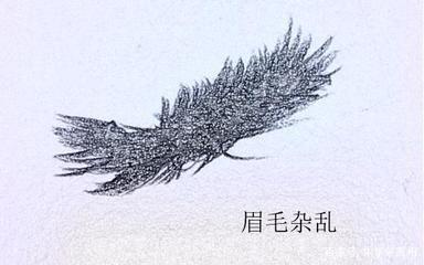 连心眉命运是怎么样的 连心眉面相详细分析