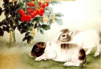 适合95年属猪人结婚的年份 给你一些不错的建议