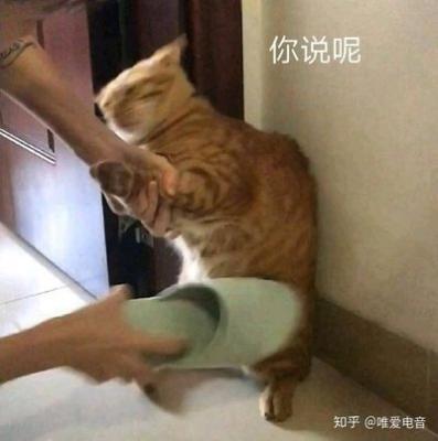 追天蝎女的大忌 告诉你有什么注意事项
