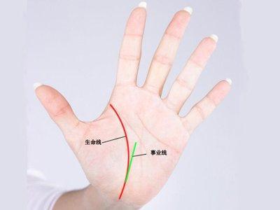 适合经商创业之人的手相有何特征呢