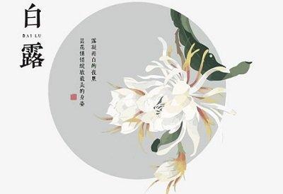 都来看属狗农历九月出生的性格与命运