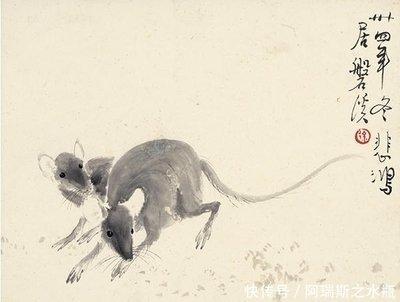 适应能力强的生肖 陌生环境也有很强的适应能力