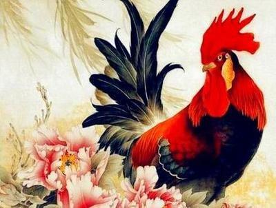 酉时属鸡人的命运 属鸡酉时生人怎么样