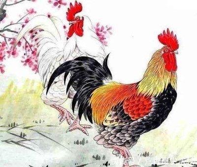 重视财富的生肖有哪些他们的2025年运势如何