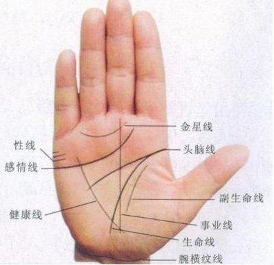 通过手相看人有没有财运 大富大贵的手相