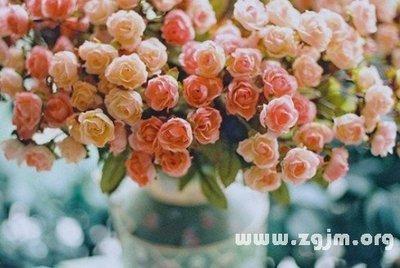 道不精Athena巨蟹座运势2025年2月