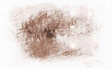 道不精Athena狮子座运势2025年4月