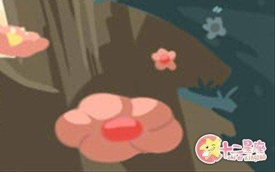 道不精Athena白羊座运势2025年4月 道不精Athena白羊座运势2025年4月