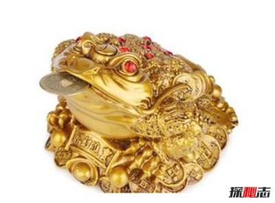 金蟾折桂什么意思(金蟾的寓意是什么)