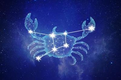 金爱伦2025年1月十二星座运势