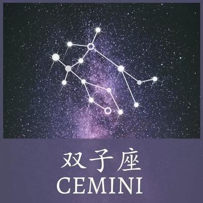 金牛双子(金牛双子巨蟹座什么歌歌词是什么意思)