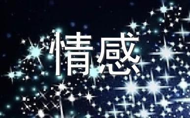 金牛女和白羊男(白羊座男和狮子座女配对指数)