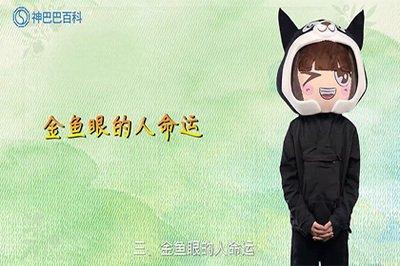 金鱼眼的人命运如何 分析金鱼眼的人一生命运