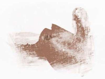 金鱼眼面相的性格命运好不好 金鱼眼的人性格怎