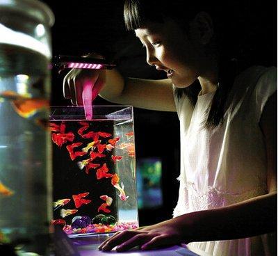 金鱼缸在客厅哪个位置 金鱼缸的摆放风水位置