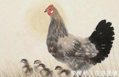 铁公鸡是什么生肖 小气的生肖有哪几个