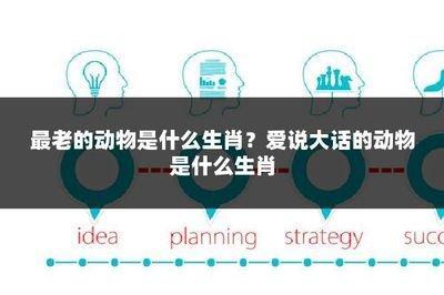 长命的动物是什么生肖 最长寿是哪些生肖