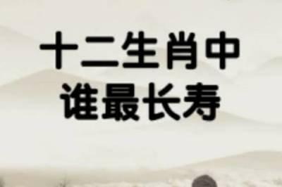 长命的动物是什么生肖 最长寿是哪些生肖