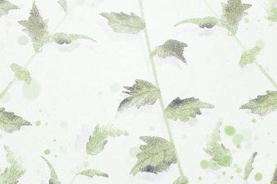 长得丑女人命好吗 什么面相的女人长得丑但命运好 长得丑女人命好吗 什么面相的女人长得丑但命运好