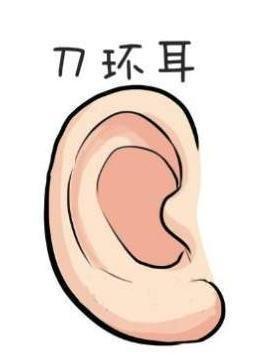 长这三种耳朵的人自带财气和福气是真的吗