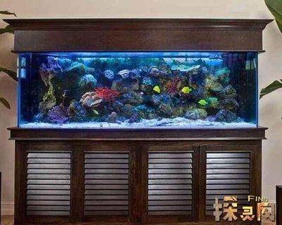 门口风水(进门口放什么摆件风水好)