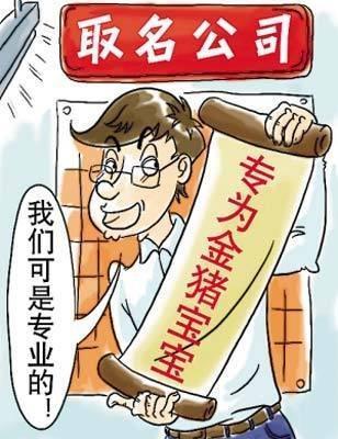 金猪宝宝取名宝典一：七大条取名原则