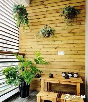 阳台植物风水  阳台适合养哪些植物