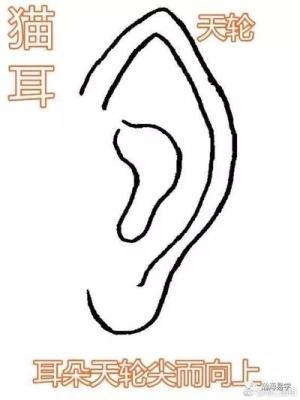 面相不同耳型的命运特征 耳朵面相看命运