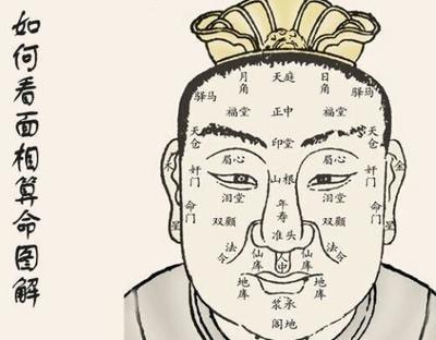 面相与财运之间的关系分析谁的财运好