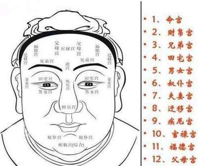 面相中的下巴类型都代表着什么 下巴面相最全解析