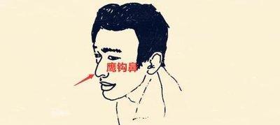 面相中鹰钩鼻代表了什么 有鹰钩鼻是好还是不好