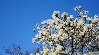 除夕出生的女宝宝怎么样起名字 教你一些好方法吧