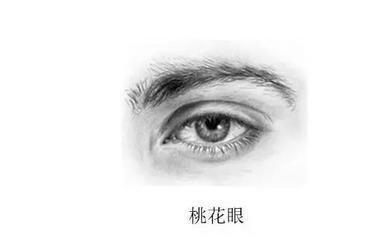 面相丹凤眼的分析 丹凤眼面相最全解析