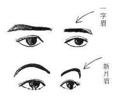 面相分析一字眉女生 女人长有一字眉好不好