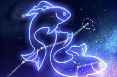 雪莱2025年6月双鱼座运势完整版