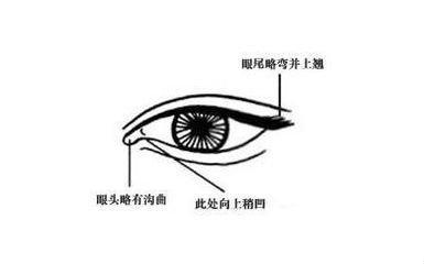 面相分析狐狸眼的人性格命运 狐狸眼的人命好吗