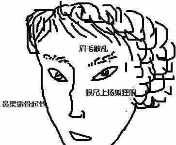 面相分析狐狸眼的女人 女人长狐狸眼说明了什么