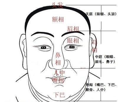 面相分析男人眉毛所代表的运势发展